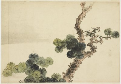 sosna konar autorstwa Katsushika (school of) Hokusai
