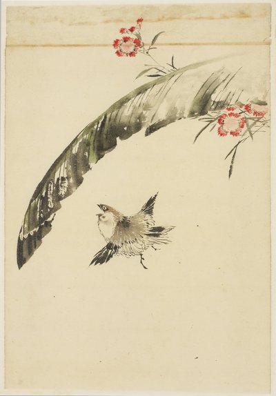 Wróbel i Liść Bananowy i Róże, 1615-1868 (tusz i kolor na papierze) autorstwa Katsushika (school of) Hokusai