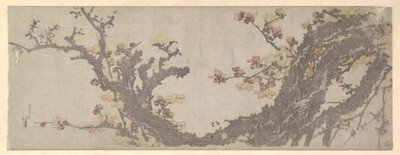 Kwitnąca stara śliwa autorstwa Katsushika Hokusai