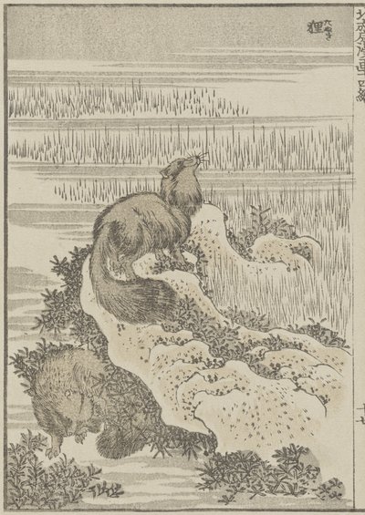 Borsuk, ok. 1840 (odbitka drzeworytnicza) autorstwa Katsushika Hokusai