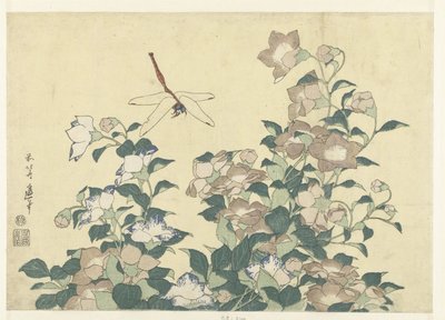 Dzwonek balonowy i ważka autorstwa Katsushika Hokusai