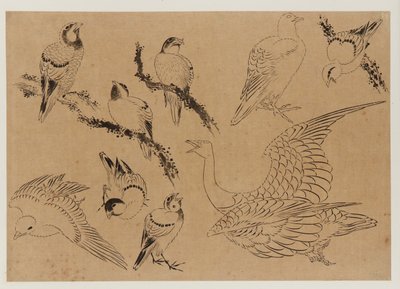 Ptaki, okres Edo, koniec XVIII – początek XIX wieku. autorstwa Katsushika Hokusai