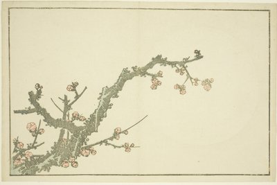 Kwitnące drzewo śliwy, z książki z realistycznymi obrazami Hokusaia (Hokusai shashin gafu), ok. 1814 (kolorowy drzeworyt (arkusz albumu)) autorstwa Katsushika Hokusai