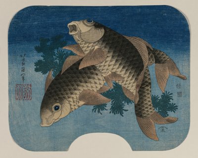 Pływanie karpia przez wodne chwasty autorstwa Katsushika Hokusai