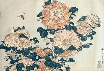 Chryzantemy (kolorowa odbitka w technice woodblock) autorstwa Katsushika Hokusai