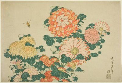 Chryzantemy i pszczoła, z serii bez tytułu Duże kwiaty autorstwa Katsushika Hokusai