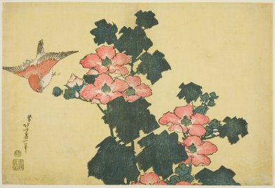 Cotton Roses and Sparrow, z serii bez tytułu Duże kwiaty autorstwa Katsushika Hokusai