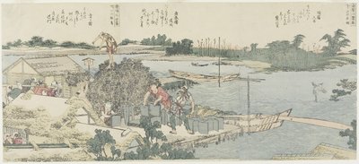 Żuraw i pole sosnowe w Shirahige, Taya w Hashiba, 1775-1849 autorstwa Katsushika Hokusai
