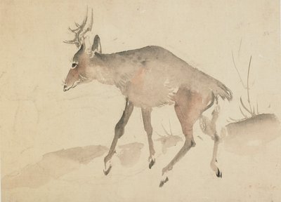 Jeleń, koniec XVIII-początek XIX wieku. autorstwa Katsushika Hokusai