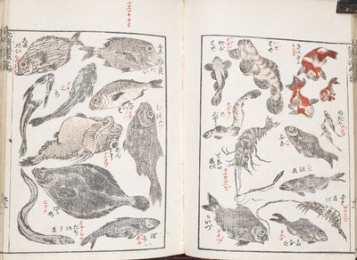 Ryby i stworzenia morskie autorstwa Katsushika Hokusai