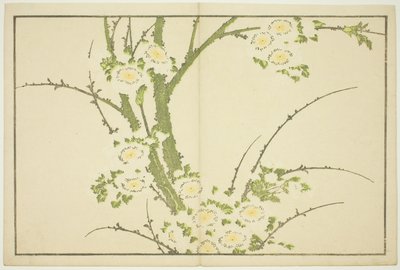 Kwiaty, z Księgi obrazkowej realistycznych obrazów Hokusai (Hokusai shashin gafu) autorstwa Katsushika Hokusai