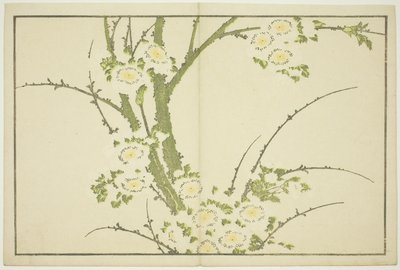 Kwiaty, z Obrazkowej księgi realistycznych obrazów Hokusaia (Hokusai shashin gafu), ok. 1814 (kolorowy drzeworyt (arkusz albumu)) autorstwa Katsushika Hokusai
