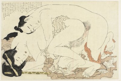 Mężatka z kochankiem Roślina Adonis (tytuł serii) Fukujuso (tytuł serii) autorstwa Katsushika Hokusai