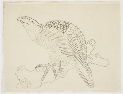 Jastrząb na gałęzi (badanie) autorstwa Katsushika Hokusai