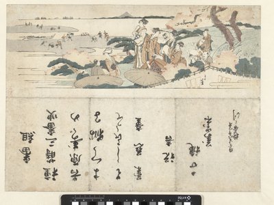 Oglądanie kwiatu wiśni autorstwa Katsushika Hokusai