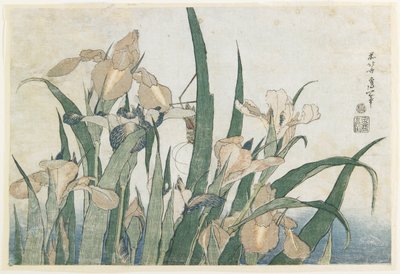 Kwiaty irysa i konik polny, ok. 1830-31 (drzeworyt kolorowy) autorstwa Katsushika Hokusai