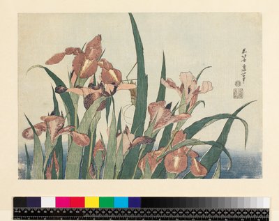 Irysy i konik polny, wyd. Nishimura Eijudo, ok. 1832, (yoko-e - format poziomy, kolorowy drzeworyt) autorstwa Katsushika Hokusai