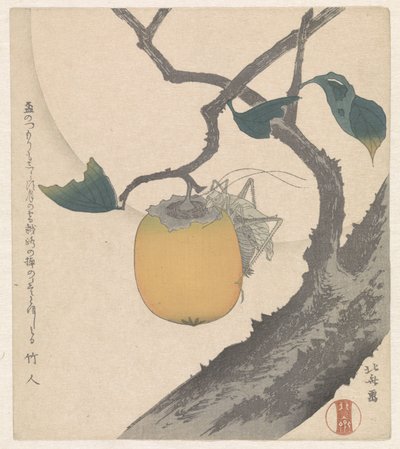 Owoc kaki z konikiem polnym autorstwa Katsushika Hokusai