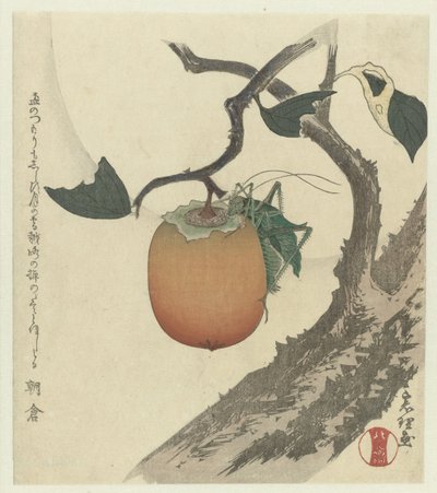 Owoc kaki z konikiem polnym autorstwa Katsushika Hokusai