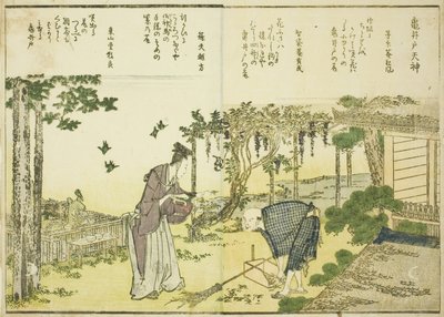 Sanktuarium Kameido Tenjin, z obj. 1 ilustrowanej książki „Piękne widoki na wschodnią stolicę w skrócie (Toto shokei ichiran)” autorstwa Katsushika Hokusai