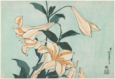 Lilie autorstwa Katsushika Hokusai