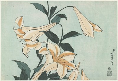 Lilie, ok. 1832 autorstwa Katsushika Hokusai