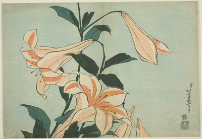 Lilie, z bez tytułu serii Duże kwiaty autorstwa Katsushika Hokusai