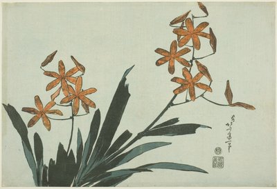 Pomarańczowe Orchidee, z serii kwiatów bez tytułu autorstwa Katsushika Hokusai