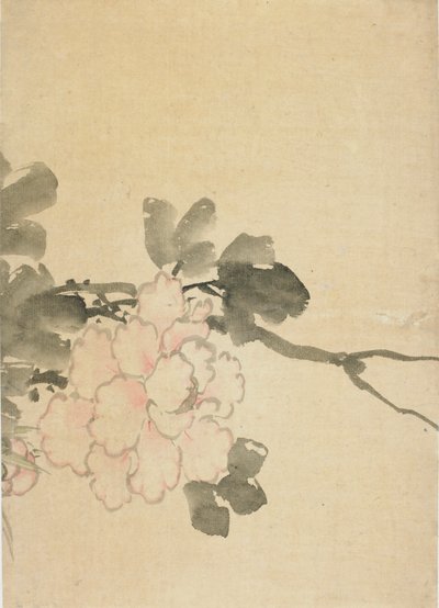 Piwonia, koniec XVIII-początek XIX wieku. autorstwa Katsushika Hokusai