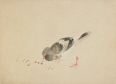 Gołąb, koniec XVIII-początek XIX wieku. autorstwa Katsushika Hokusai