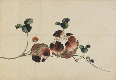 Granaty, koniec XVIII – początek XIX wieku. autorstwa Katsushika Hokusai