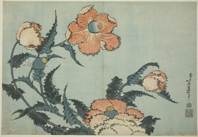 Maki z serii kwiatów bez tytułu autorstwa Katsushika Hokusai