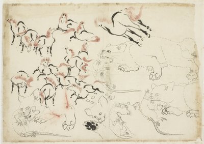 Badania koni, kotów i szczurów (od "Hokusai Manga"), ok. 1815-1849 (tusz i kolor na papierze) autorstwa Katsushika Hokusai
