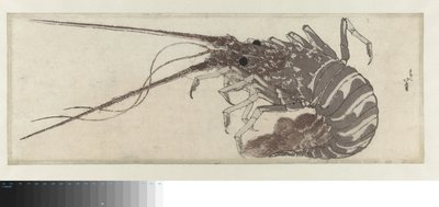 Homar autorstwa Katsushika Hokusai