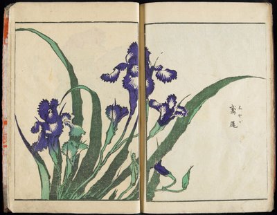 Przekazywanie ducha i ukazywanie kształtu rzeczy: „Ogród obrazów” Hokusai, tom 1 – kompletny autorstwa Katsushika Hokusai