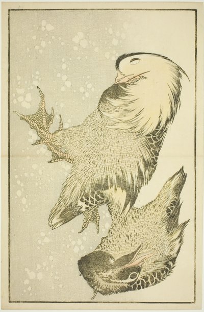 Dwa ptactwo wodne, z Księgi obrazkowej realistycznych obrazów Hokusaia (Hokusai shashin gafu) autorstwa Katsushika Hokusai