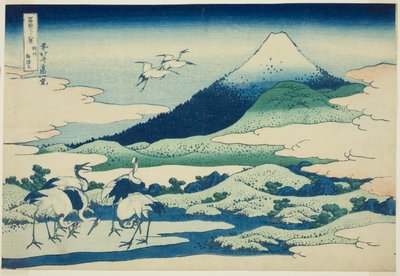 Członek Marsh Umezawa Sagami P Rovinse (nierafinowana sake Umezawa po lewej), z serii ``Ti rty x Widoki góry Fuji (Fugaku Kasaju Rokukei)