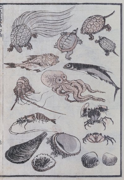 Stworzenia podwodne z mangi (kolorowy drzeworyt) autorstwa Katsushika Hokusai