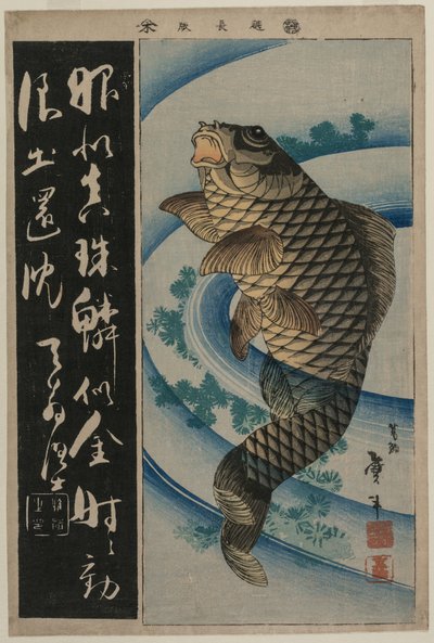 Karp i wodorosty, ok. 1930 r. początek lat 30. XIX wieku. autorstwa Katsushika Taito II
