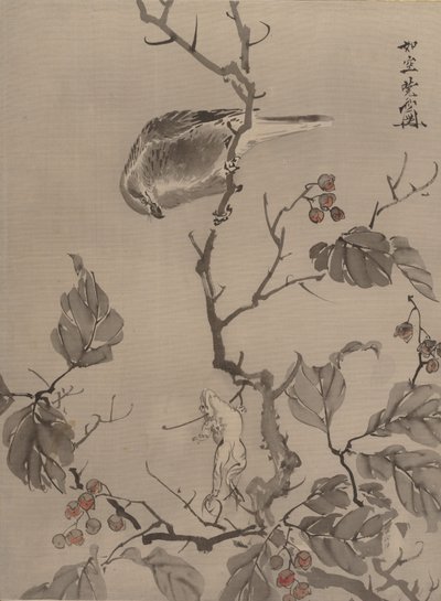 Ptak i żaba, ca. 1887. autorstwa Kawanabe Kyosai