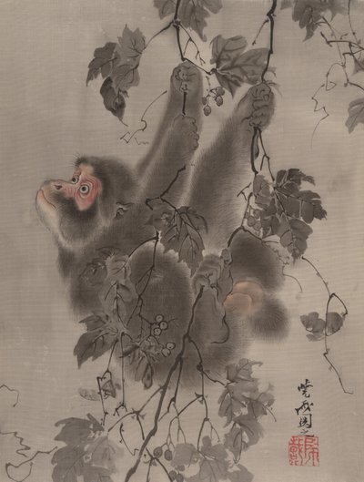 Małpa zwisająca z winorośli, ca. 1887. autorstwa Kawanabe Kyosai