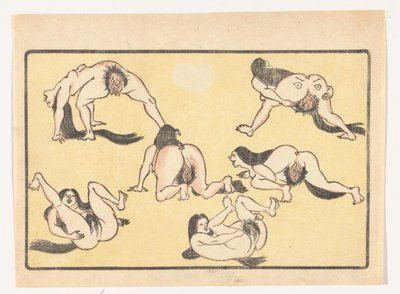 nagie kobiety Wielki Ogon (tytuł serii) autorstwa Kawanabe Kyosai
