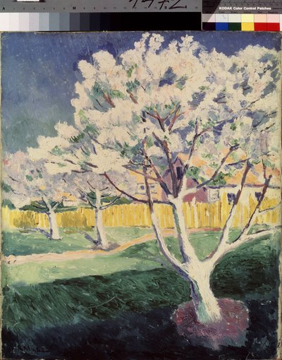 Letni krajobraz. Obraz Kasimira Severinovicha Malewicza (Malevich, Malevic) (1878-1935), olej na płótnie autorstwa Kazimir Severinovich Malevich