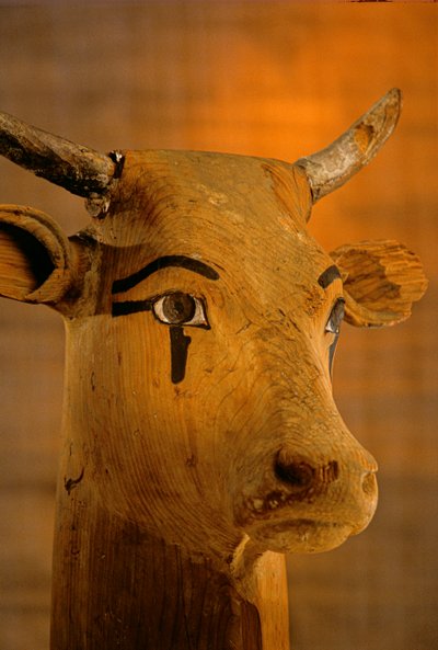 Rzeźba głowy krowy, KV35; Amenhotep II, 2009 (zdjęcie) autorstwa Kenneth Garrett