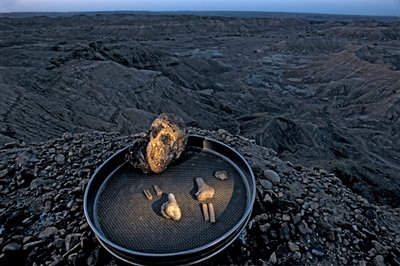 Dziecko Lucy, Zeray Alemseged, Australopithicus Afarensis, Etiopia, paleontolog,..., 2006 (zdjęcie) autorstwa Kenneth Garrett