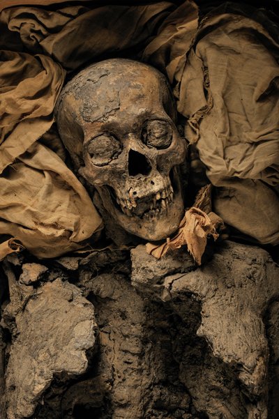 Mumia Amenhotepa III, dziadka króla Tuta, KV 35, Tutanchamon; XVIII dynastia; Nowy..., 2005 (zdjęcie) autorstwa Kenneth Garrett