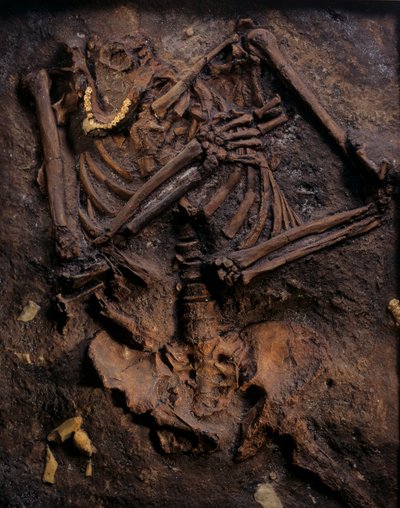 Neandertalczyk, malowany odlew, jaskinia Kebara, góra Karmel, "Moshe", ok. 60 000 p.n.e., Izrael autorstwa Kenneth Garrett