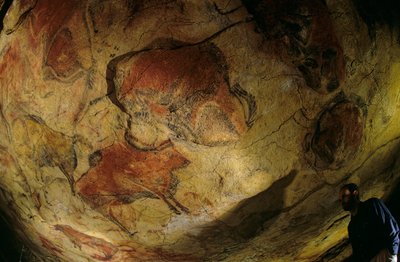 Galeria żubrów, jaskinia Altamira, Hiszpania, 2000 r. (zdjęcie) autorstwa Kenneth Garrett
