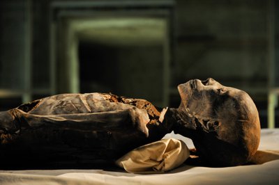 mm7864; 18 dynastia; Nowe Królestwo; Egipt; DNA; Próbka; Mumia, nieznana mumia, 2005 (zdjęcie) autorstwa Kenneth Garrett