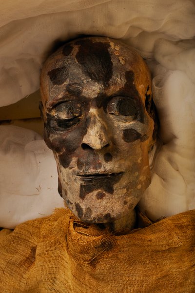 mm7864; XVIII dynastia; Nowe Królestwo; Egipt; Muzeum Egipskie; Kair; Mumia; Dolina o..., 2005 (zdjęcie) autorstwa Kenneth Garrett